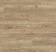 ДУБ МЕЛОВОЙ