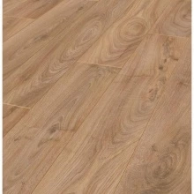 ДУБ ИСТОРИЧЕСКИЙ