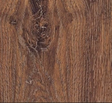 ДУБ КОНЬЯЧНЫЙ