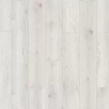 ДУБ ШАНТАЛЛИ