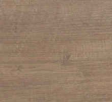 ДУБ ТОРРИ СЕРЫЙ