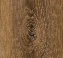 ДУБ МОНТАНА ВЫБЕЛЕННЫЙ