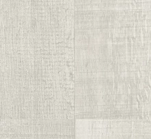 ДУБ ПИЛЕННЫЙ БЕЛЁНЫЙ