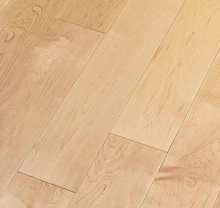 КЛЁН КАНАДСКИЙ