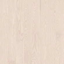 ЯСЕНЬ ПОЛАР