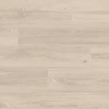 ДУБ НОРВЕЖСКИЙ