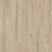 ДУБ ГРОЗНЫЙ