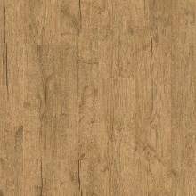 ДУБ СОЛНЕЧНЫЙ ПРОМАСЛЕННЫЙ