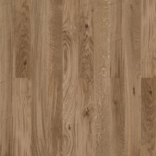 ДУБ МЕДНЫЙ БРАШ