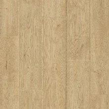 ДУБ ПРИОЗЕРНЫЙ