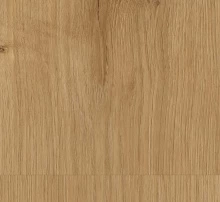 ДУБ ГОРИЗОНТ