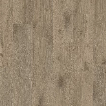 КАШТАН ИТАЛЬЯНСКИЙ ПЕПЕЛЬНЫЙ