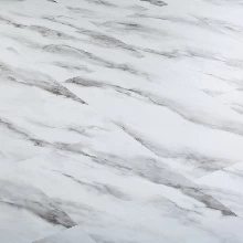 ДУБ ВИДОРА ПЕСТРЫЙ