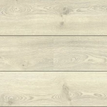 ДУБ СВЕТЛЫЙ