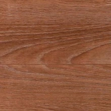 ДУБ МОНТЕБЕЛЛО