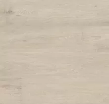 ДУБ СИЦИЛИЯ БЕЛЫЙ