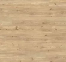 ДУБ ЭЛЕГАНТНЫЙ ПЕСОЧНЫЙ