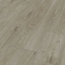 ДУБ СЕВИЛЬЯ