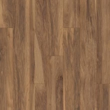 АППАЛАЧИАH ГИКОРИ