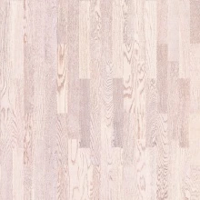 ДУБ АЙСБЕРГ БРАШ