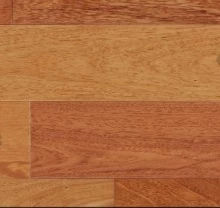 БРАЗИЛЬСКАЯ ВИШНЯ - ЯТОБА