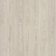 ДУБ ГОРНЫЙ СВЕТЛЫЙ