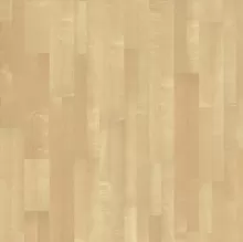 КЛЁН КАНАДСКИЙ КРЕМ