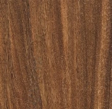 ОРМОЗИЯ (КУКУ)