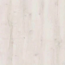 ДУБ АНДАМАНСКИЙ