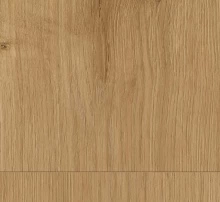 ДУБ ГОРИЗОНТ