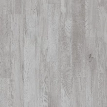 ДУБ СЕРЕБРО