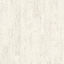 ПИНИЯ ФЛОРЕНЦИЯ