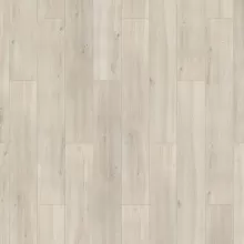 ДУБ СЕВЕРНЫЙ