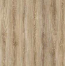 ДУБ РУССКИЙ