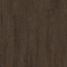 ДУБ УГОЛЬНЫЙ ПРОМАСЛЕННЫЙ