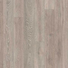 ДУБ СКАЛЬНО СЕРЫЙ