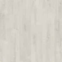 ДУБ БЛАГОРОДНЫЙ СЕРЫЙ