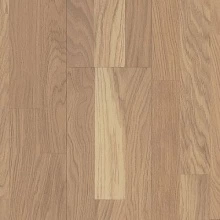 ДУБ БЕЛЫЙ ЛИННЕЯ