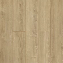 ДУБ КАНАРСКИЙ