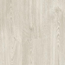 ДУБ МОРОЗНЫЙ