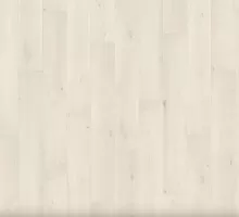 ДУБ ЭМИЛИЯ БЕЛЫЙ