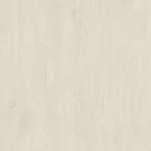 ДУБ ИСПАНСКИЙ БЕЛЫЙ