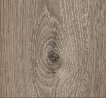 ДУБ ВАЛЕРЕ БЕЛЕНЫЙ ТЁМНЫЙ