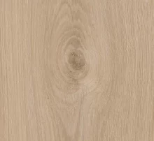 ДУБ АВАНТ ШЛИФОВАННЫЙ