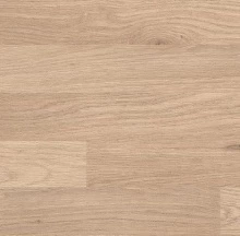 ДУБ ФЛАВИЯ БЕЛЫЙ