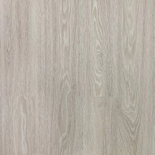 ОЛИВА СЕРЕБРИСТАЯ