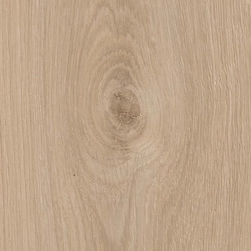 ДУБ АВАНТ ШЛИФОВАННЫЙ ЛАМИНАТ  PARADOR  BASIC 600 ХS ламинат для пола