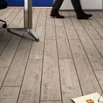 ДУБ ПОРТОВЫЙ