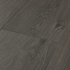 ДУБ РОБУСТА