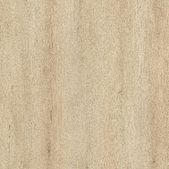 ДУБ МЕРЕНГА